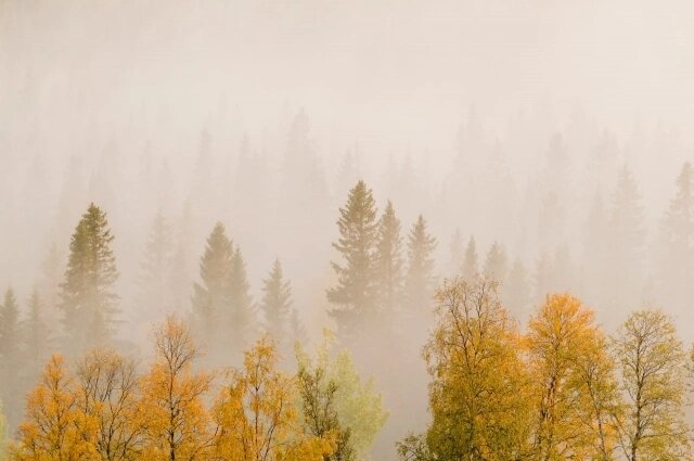    Фото: ru.freepik.com