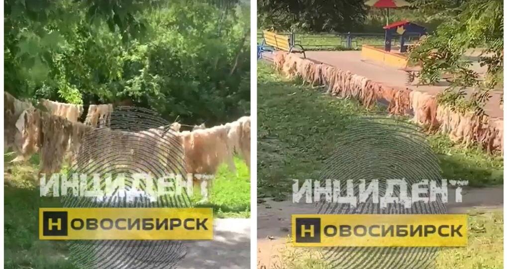 Мигранты в нашем дворе: сушат шкуры и моют машины, игнорируя протесты соседей