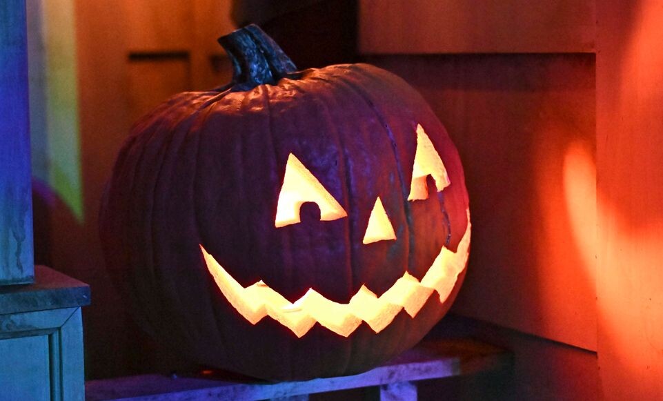    IMAGO/Dave Starbuck / www.globallookpress.com