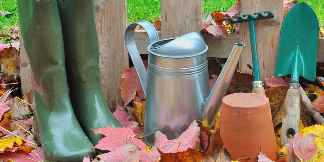 Готовим грядки к весне осенью: пошаговая инструкция для самых ленивых