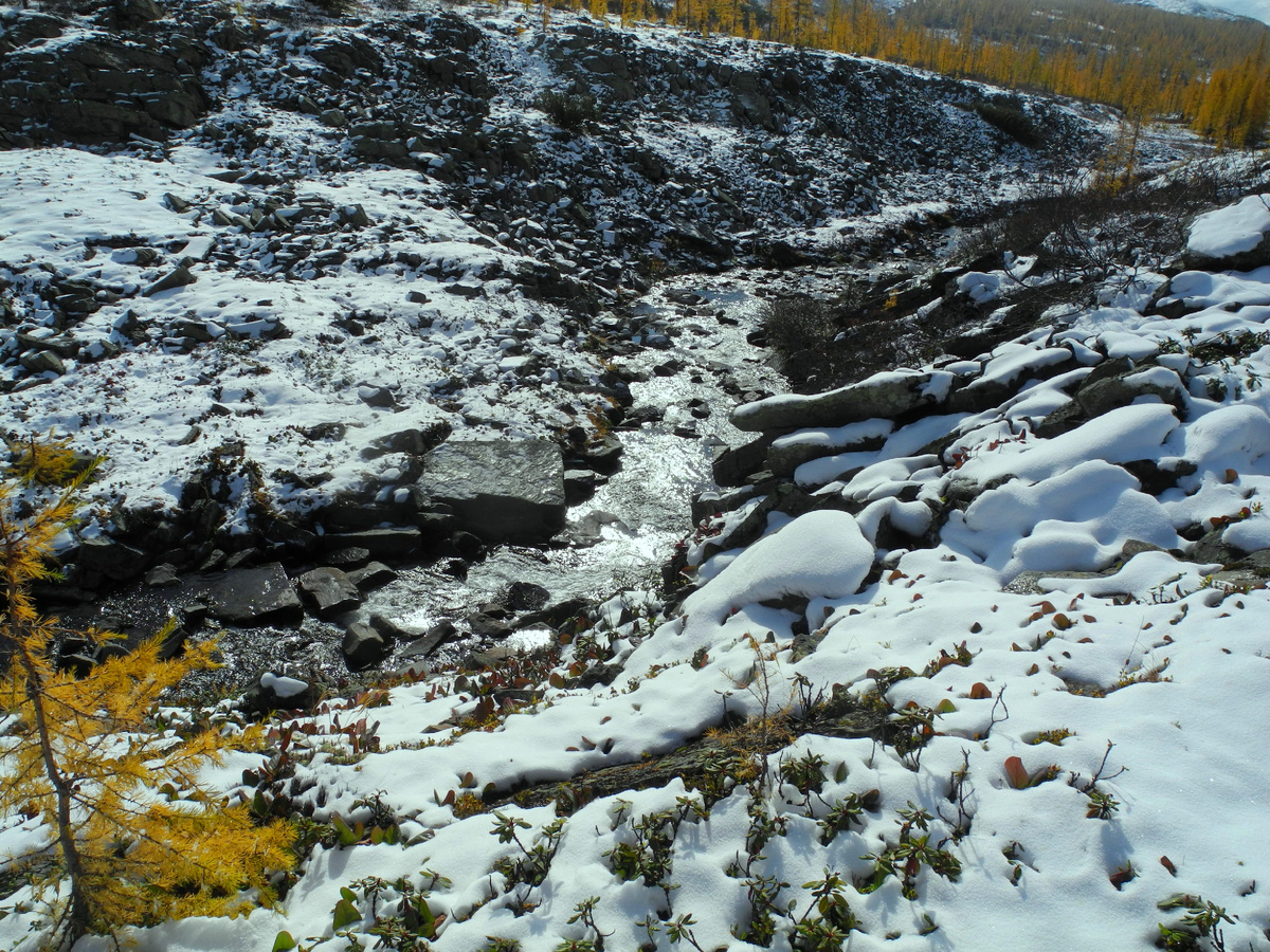 Каменные "ловушки" в  горной тайге. Фото автора