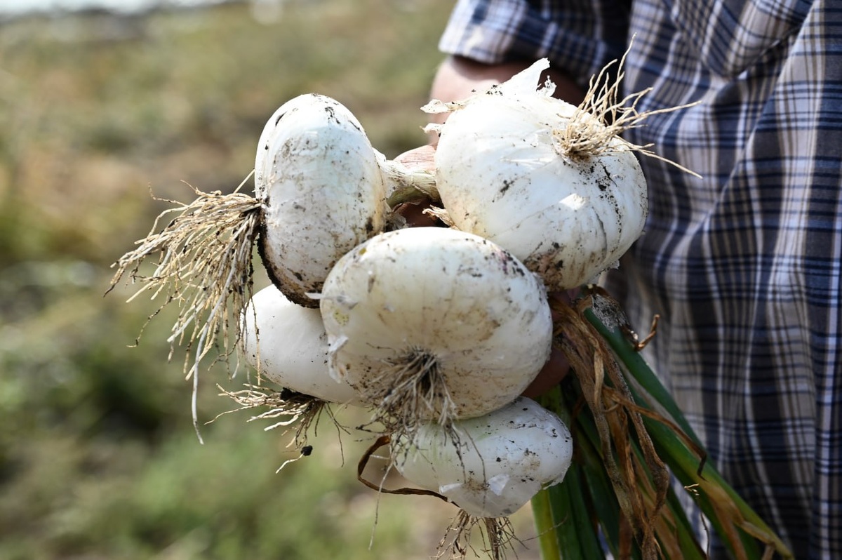 Фото: Гала Амарандо