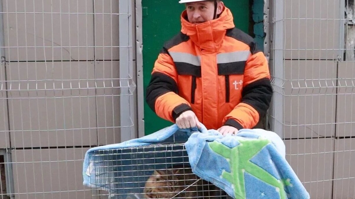     Источник: Пресс-служба ПАО "Т Плюс"