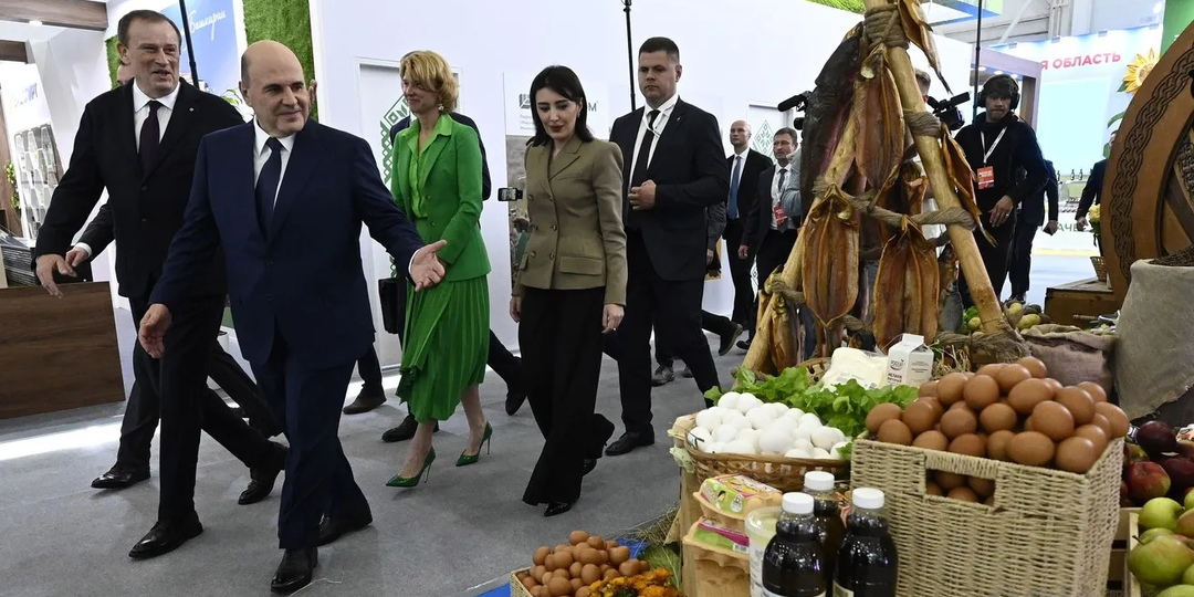 За десять лет аграрное производство в России выросло на 50%