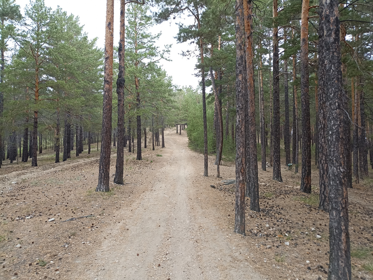 Тропа здоровья