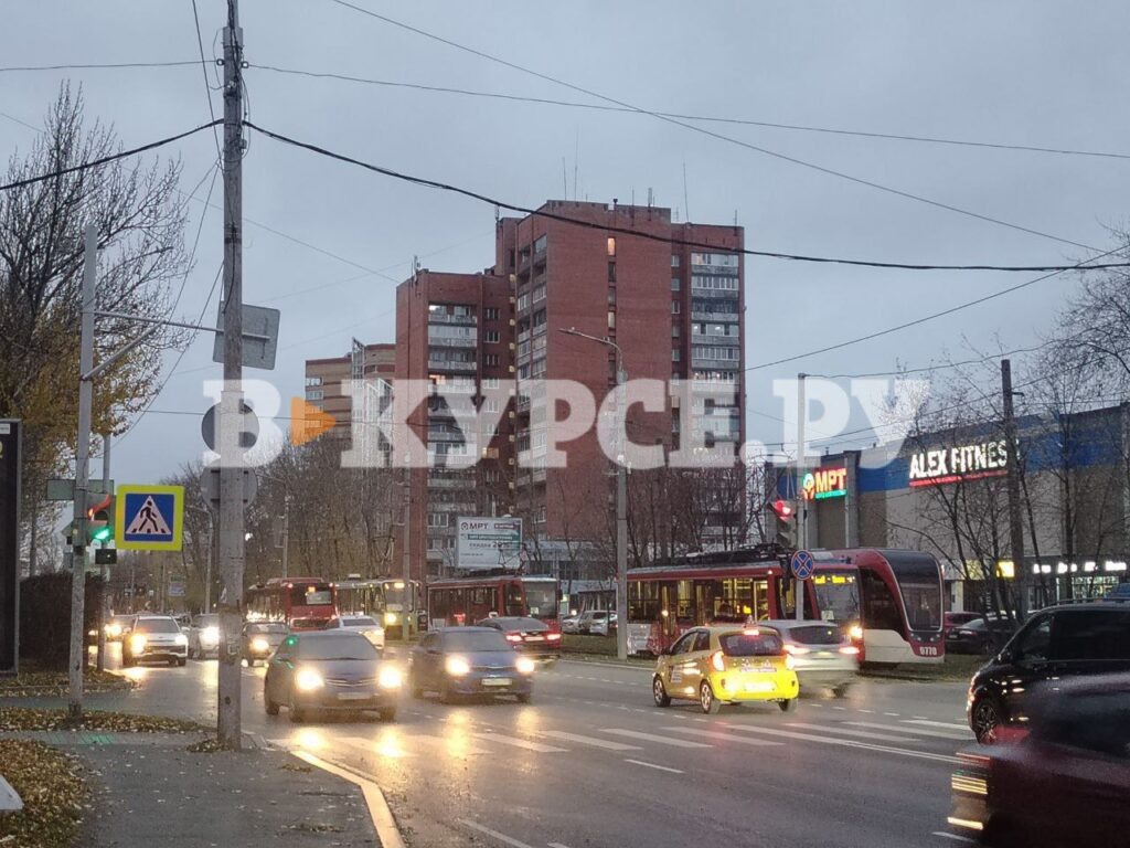    Фото: В курсе.ру Ульяна Бажанова