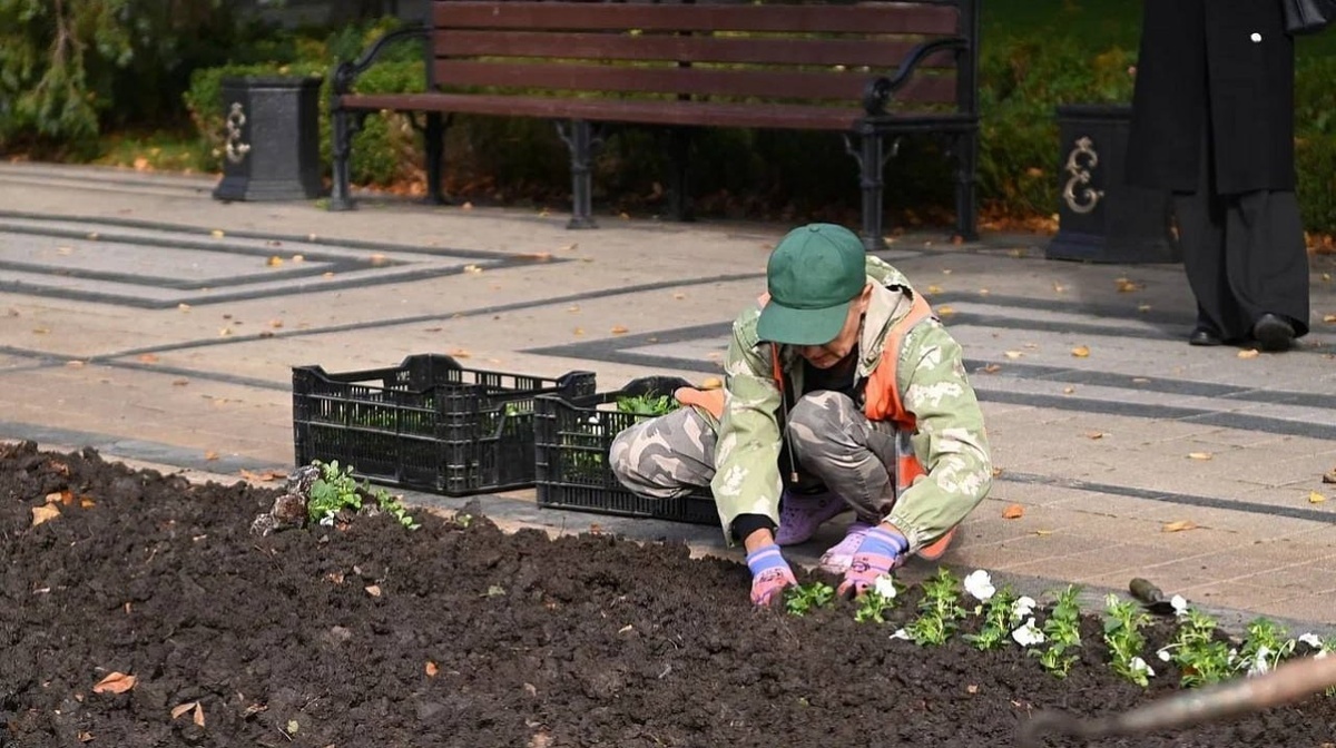    Фото пресс-службы администрации Краснодара
