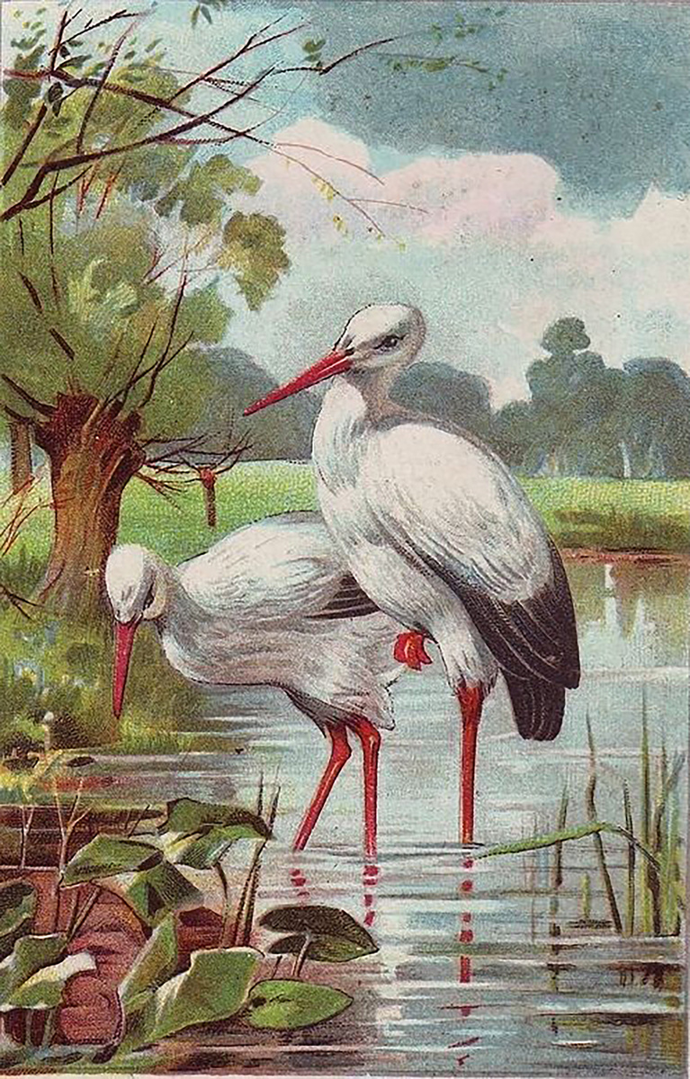 Ответ в следующей статье