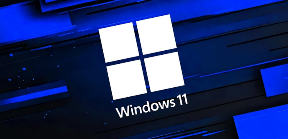    Windows 11