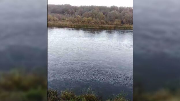     Источник: vestivrn.ru Автор фото: ВГТРК Вести Воронеж