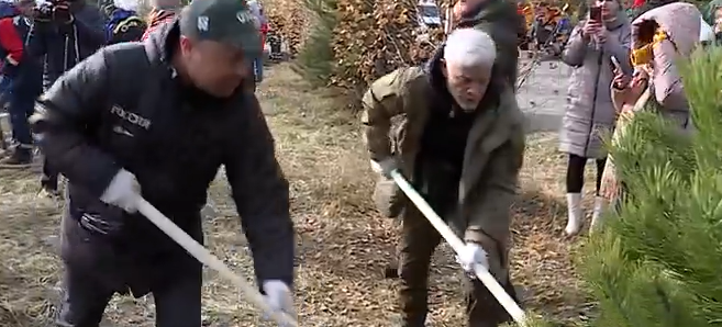     В Красноярске появилась аллея длинной в километр