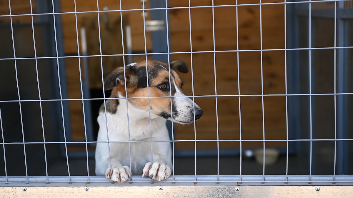     Фото: Андрей Зубов