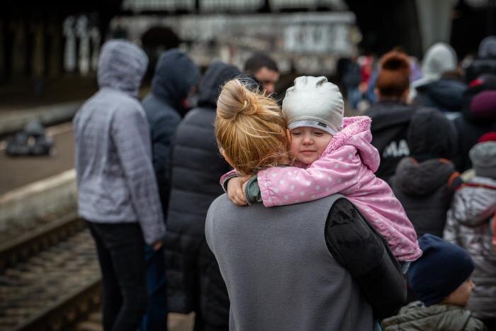 Обложка © Shutterstock / FOTODOM/ Sodel Vladyslav