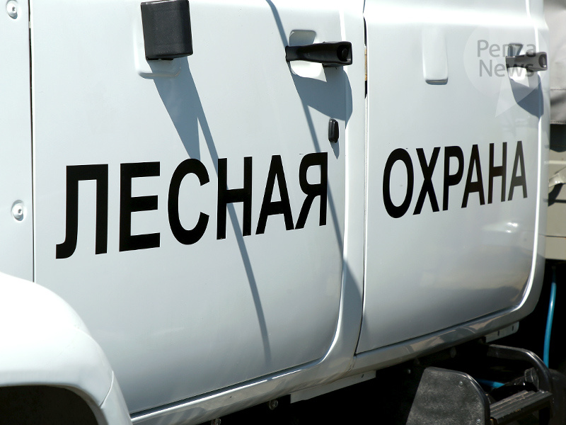    © Фото из архива ИА «PenzaNews»