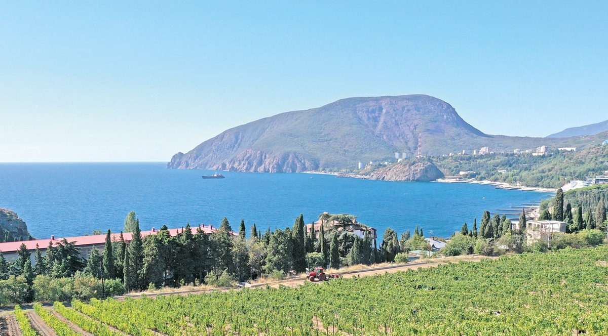 Фото: Турпортал РК, санаторий "Полтава-Крым", Гала Амарандо