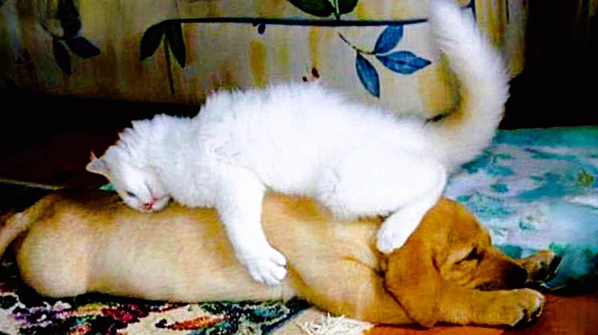 Это все мое!