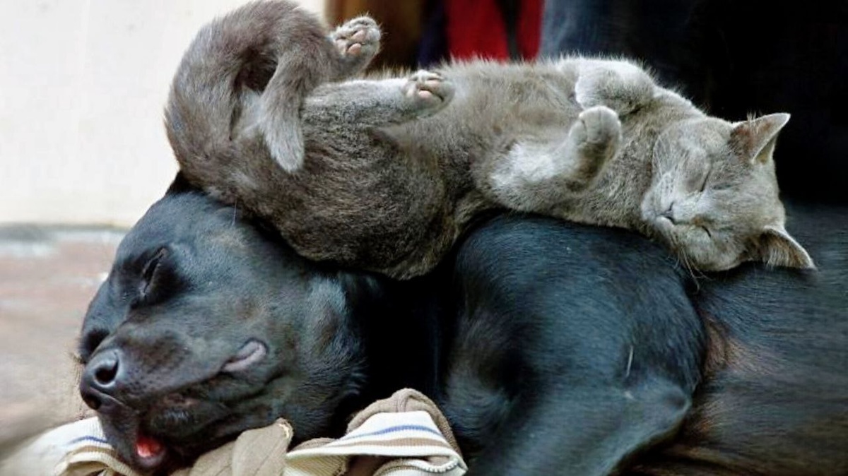 Нам обоим хорошо: в теле и душе - тепло