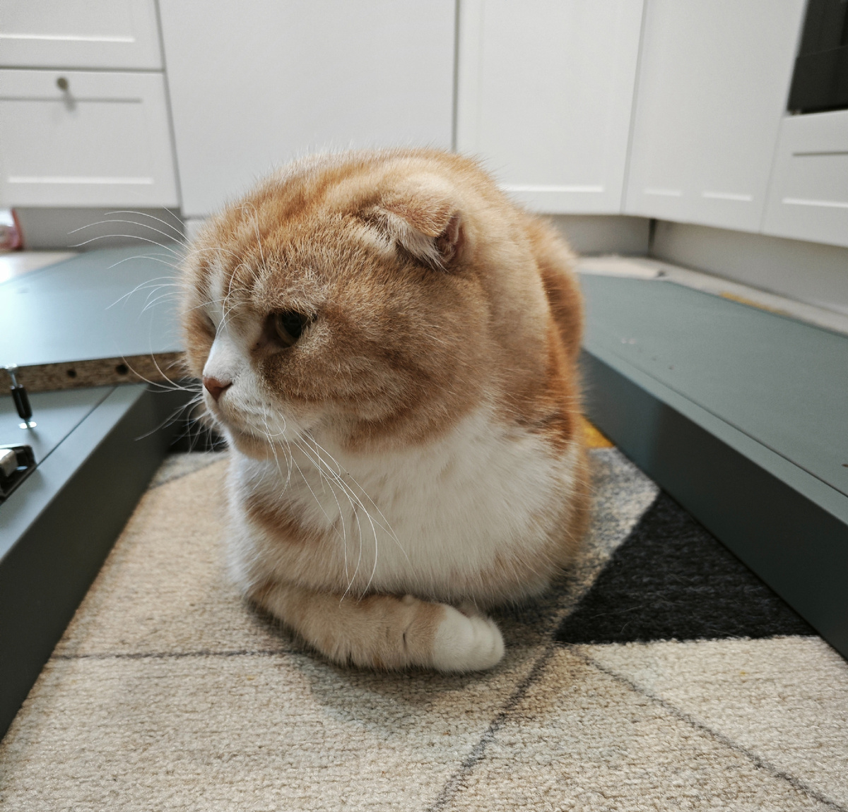 Подготовка к сборке