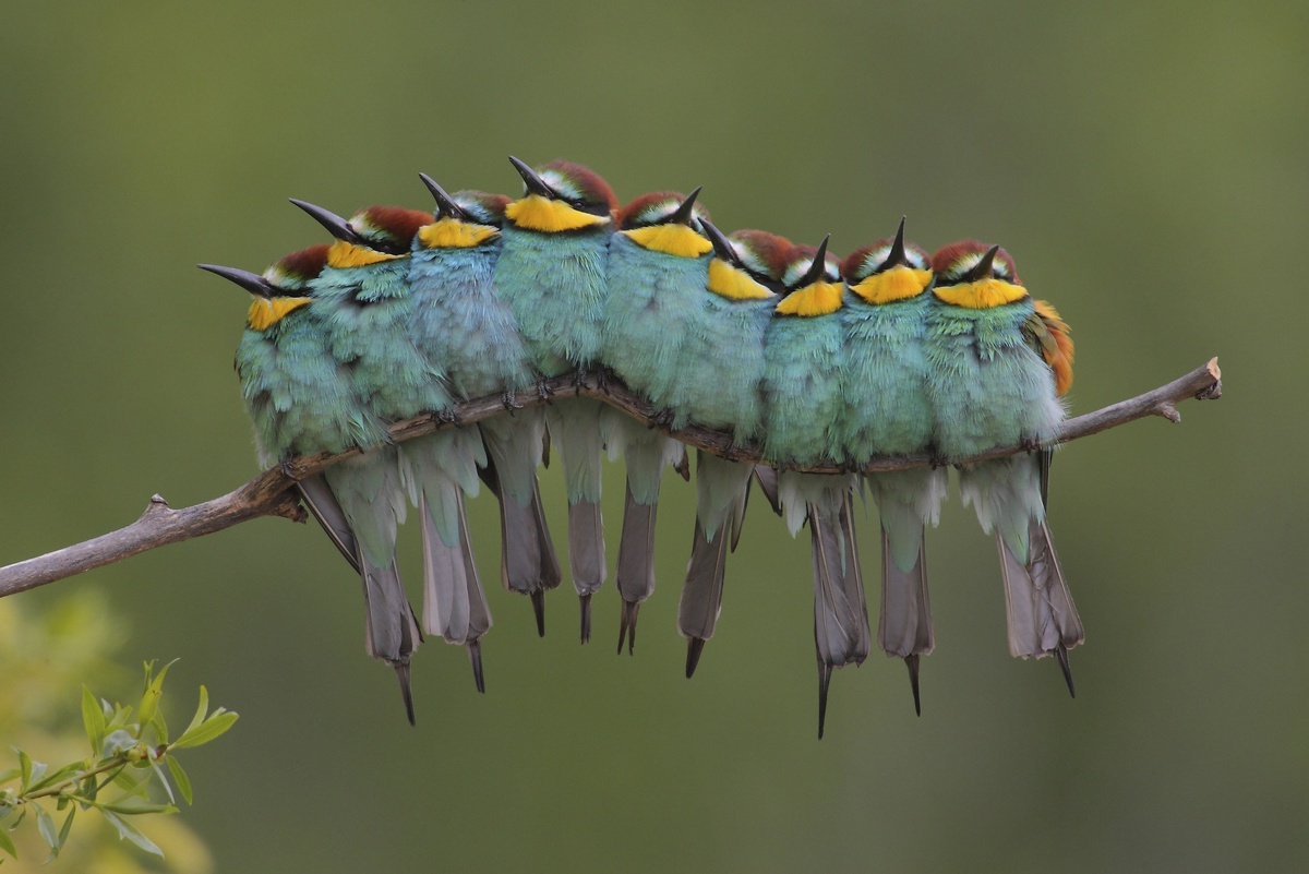 Источник: ornella.club