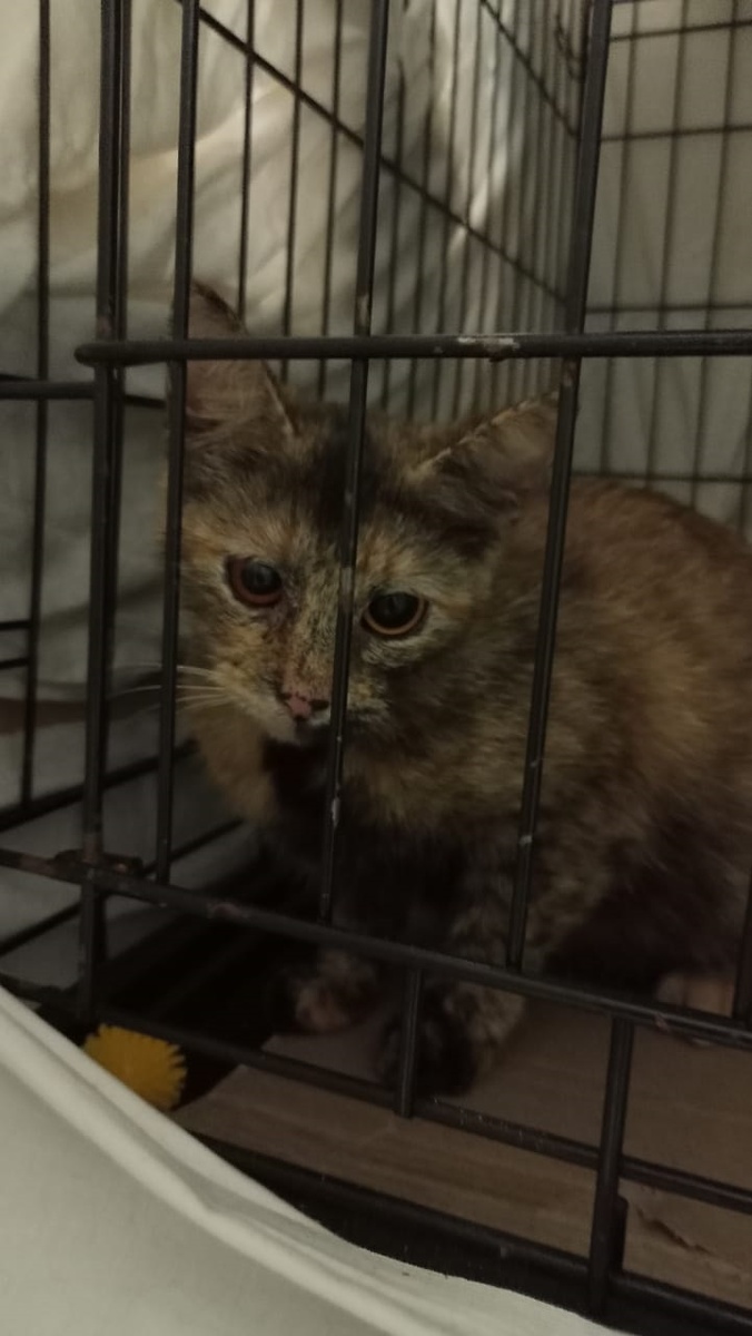 Грустная и испуганная девчуля..