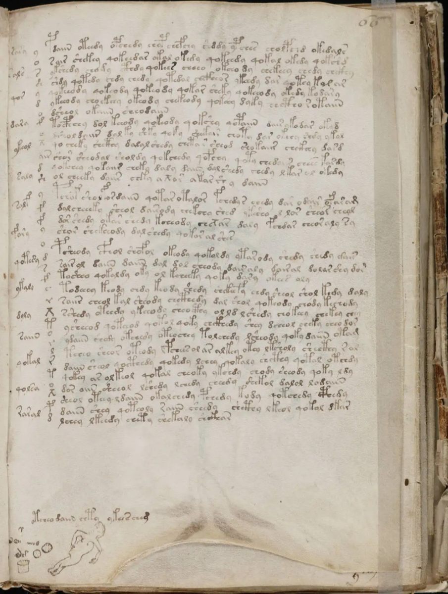 Манускрипт Войнича, Библиотека редких книг Бейнеке Йельского университета (США).