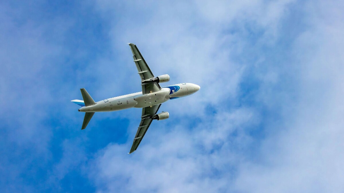    Фото: Федор Воронов/«Ямал-Медиа»