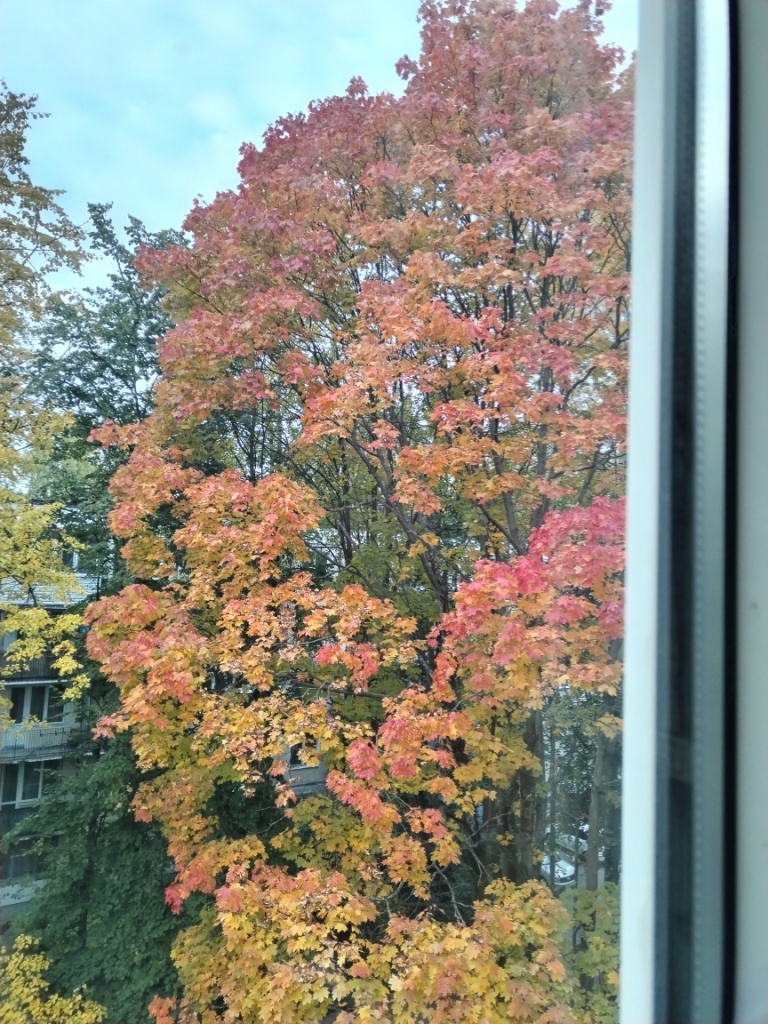 Немного золотой осени вам