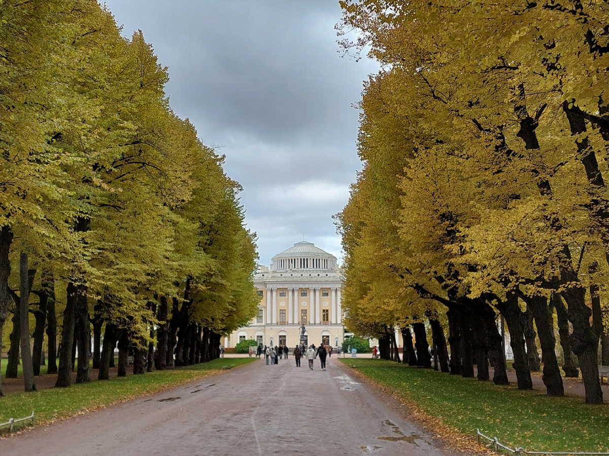 Павловский дворец, дворцово-парковый музей-заповедник «Павловск». Фото автора. Листайте галерею далее →