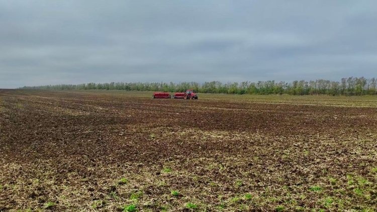    Фото: ФГБУ «РосАгрохимслужба»