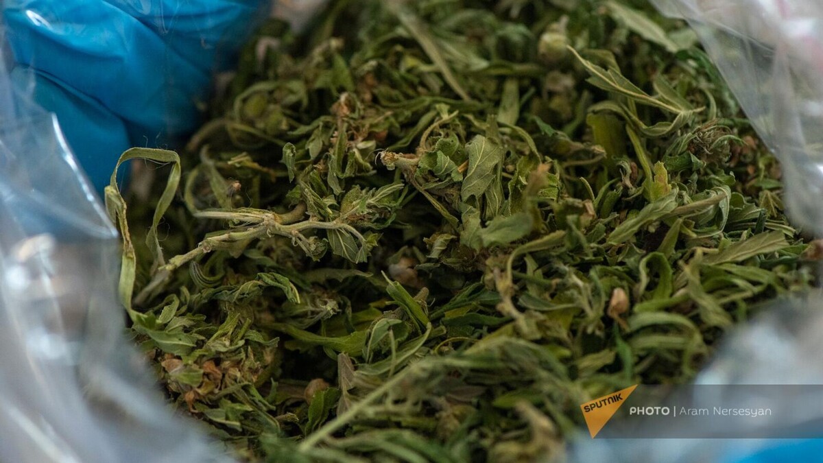 © Sputnik / Aram Nersesyan