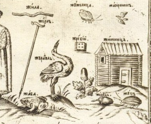 Журавль на иллюстрации из словаря Кариона Истомина издания 1694 года

