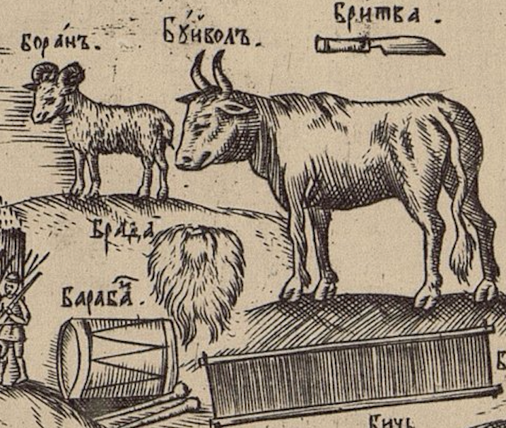 Баран на иллюстрации из словаря Кариона Истомина издания 1694 года