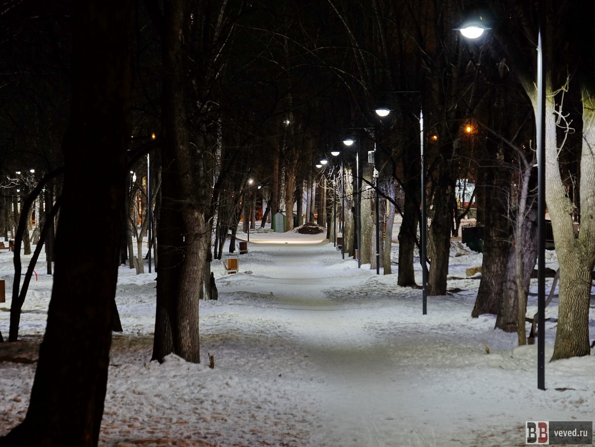     Фото: Юлия Медведева / Вечерние Ведомости