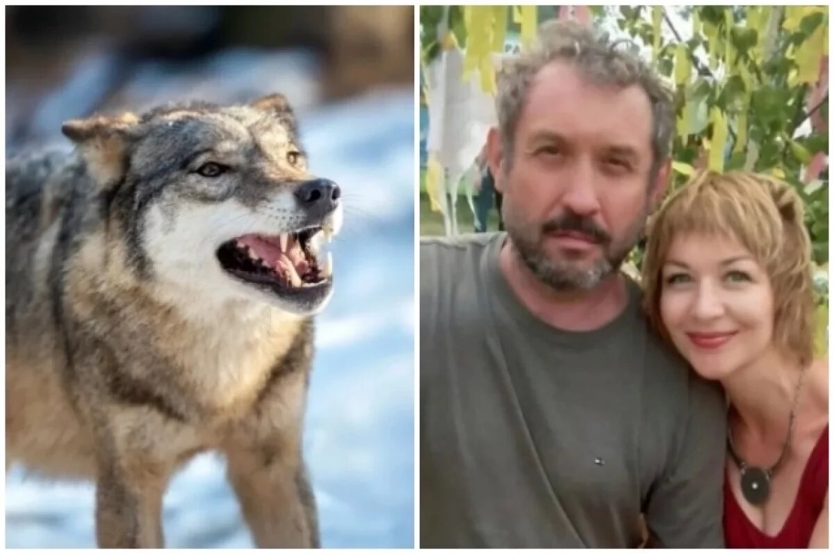    Охотник Татарников: поискам тел пропавших Усольцевых помешают дикие звери