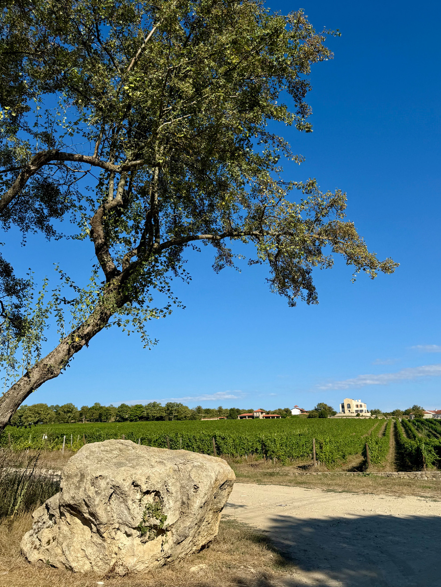 У входа на территорию винодельни