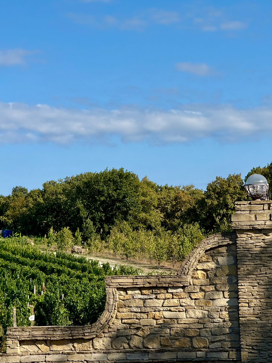 У входа на территорию винодельни