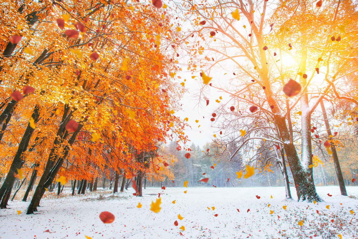    Октябрь 123RF/legion-media.ru