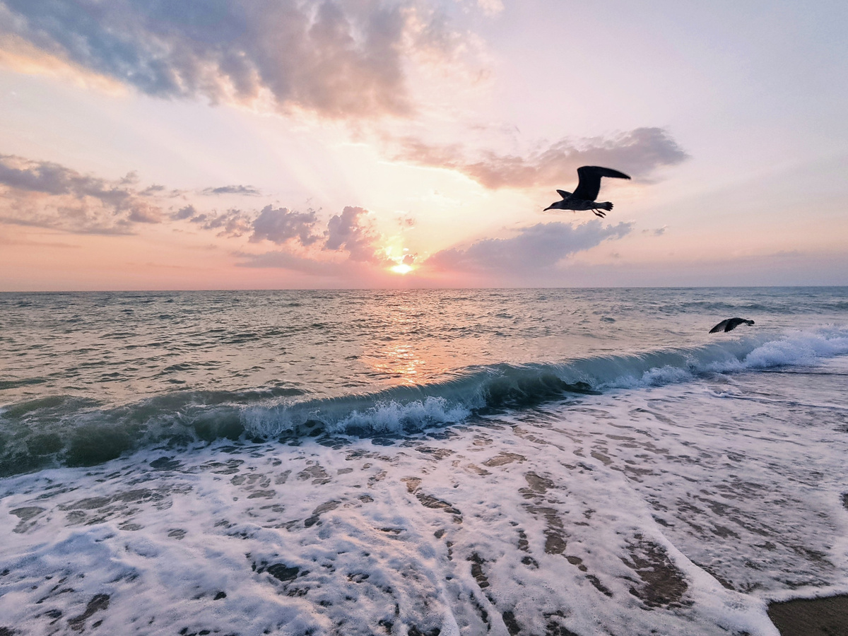Море в Николаевке // Туристический портал Республики Крым, Кристина Безумнова