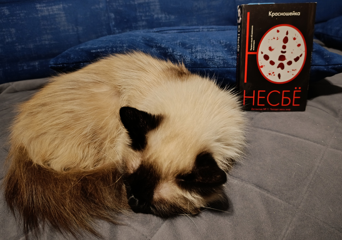 Сегодня читаемую книгу снова представляет Джессика. 