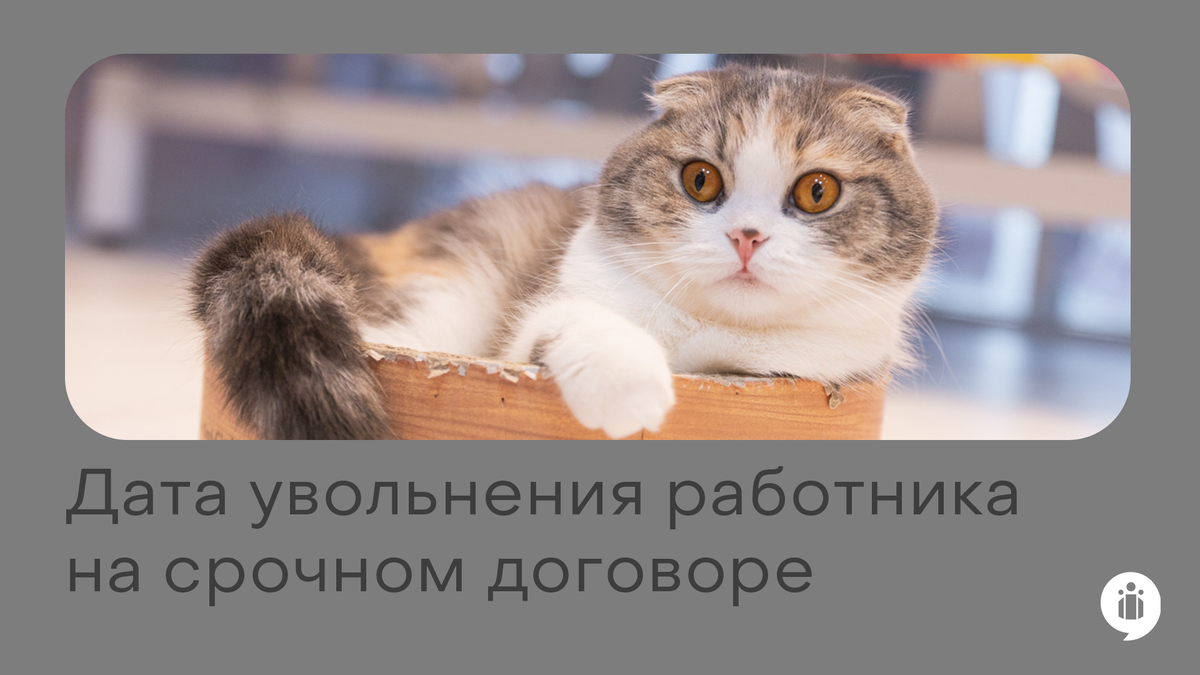 Дата увольнения работника на срочном договоре