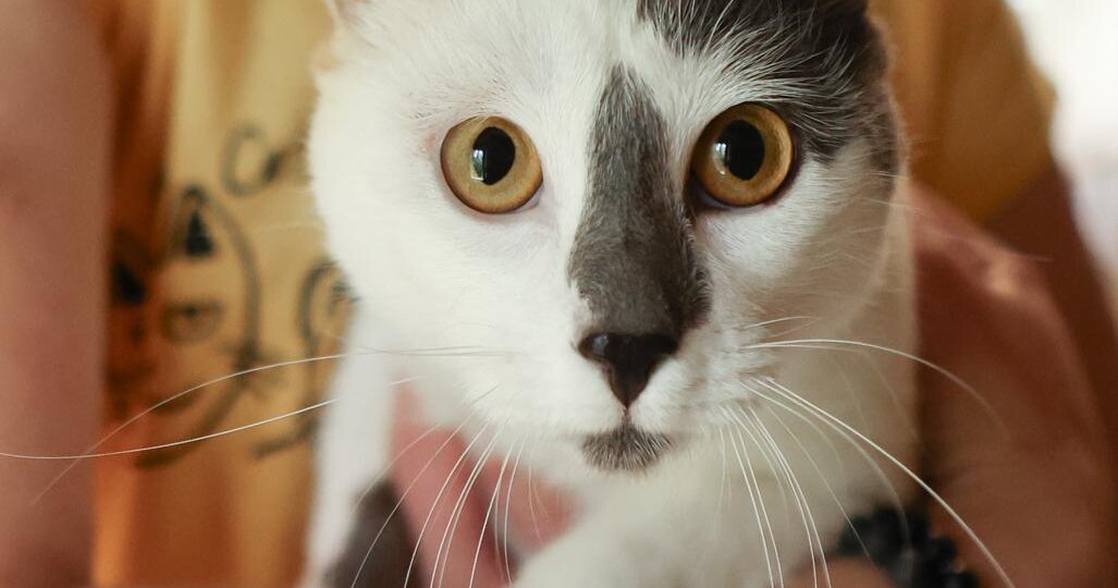 Гоша, поцелованный Богом в носик!