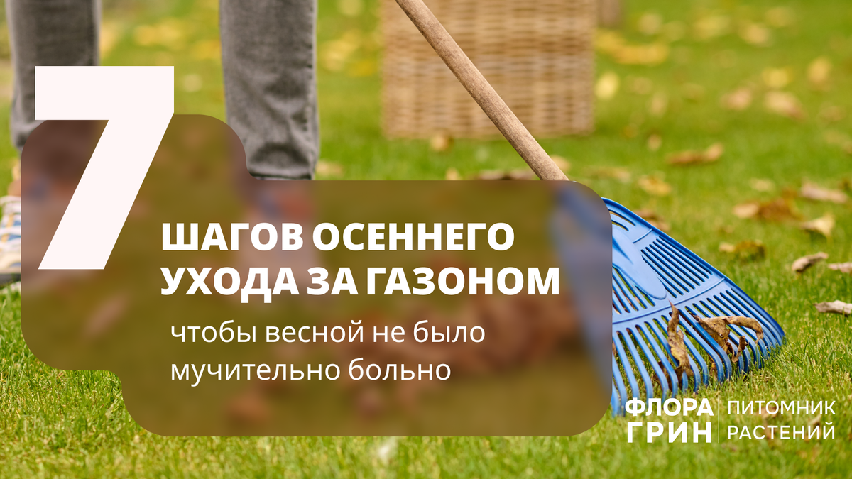 Уборка листвы осенью — ключевой этап ухода за газоном перед зимой. Влажные листья на газоне приводят к выпреванию и развитию грибка.