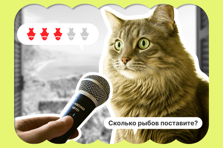 Что скрывают ваши клиенты: узнайте через опросы