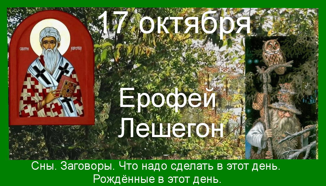 Источник : Яндекс картинки.