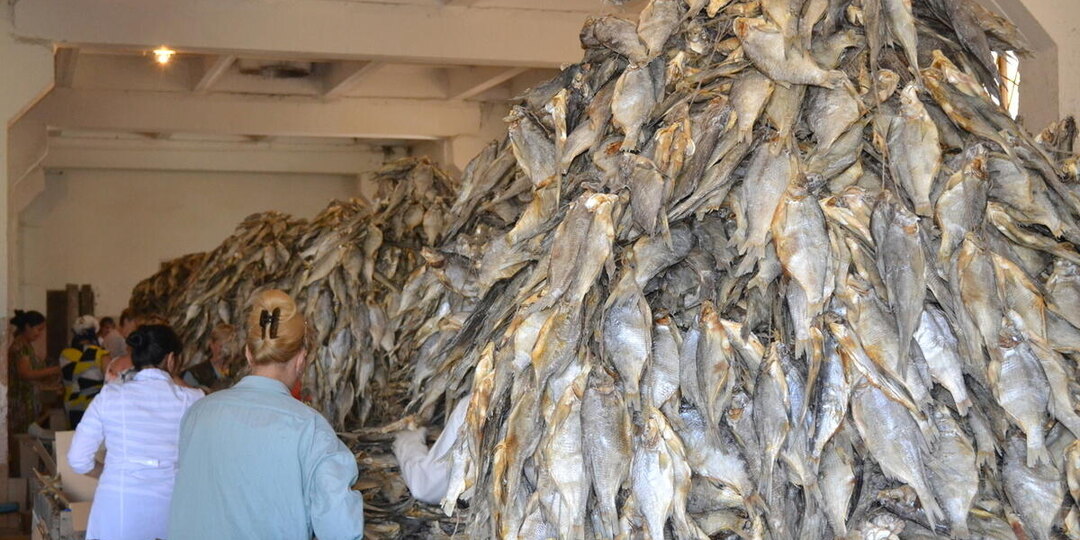 Рыбы стало меньше? Или...больше?