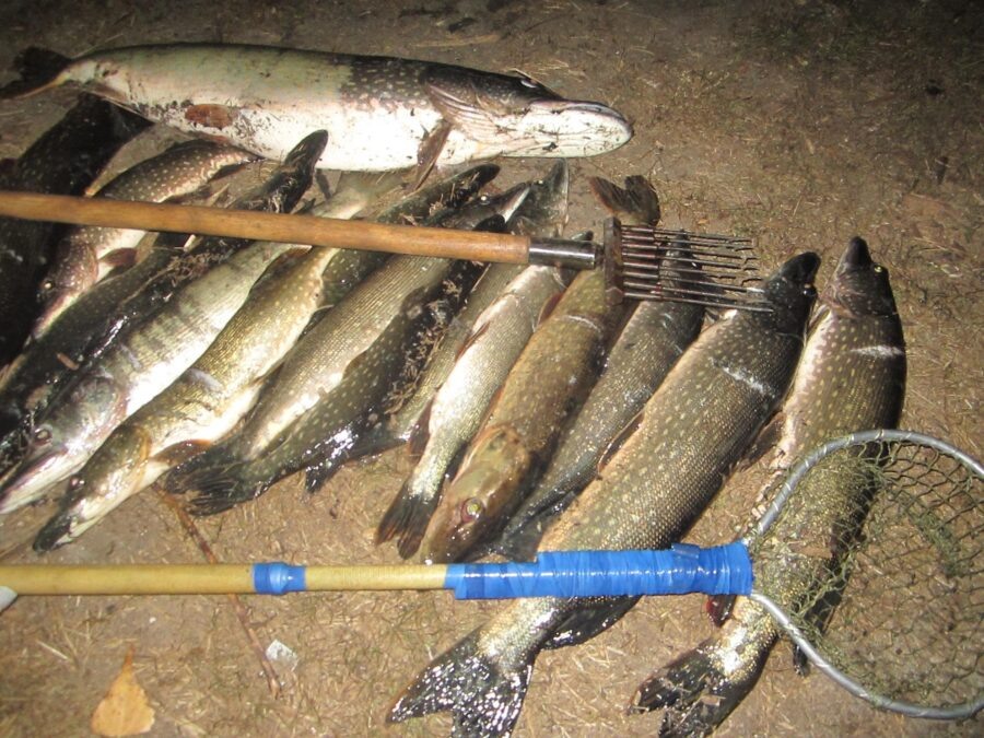 Фото из интернета