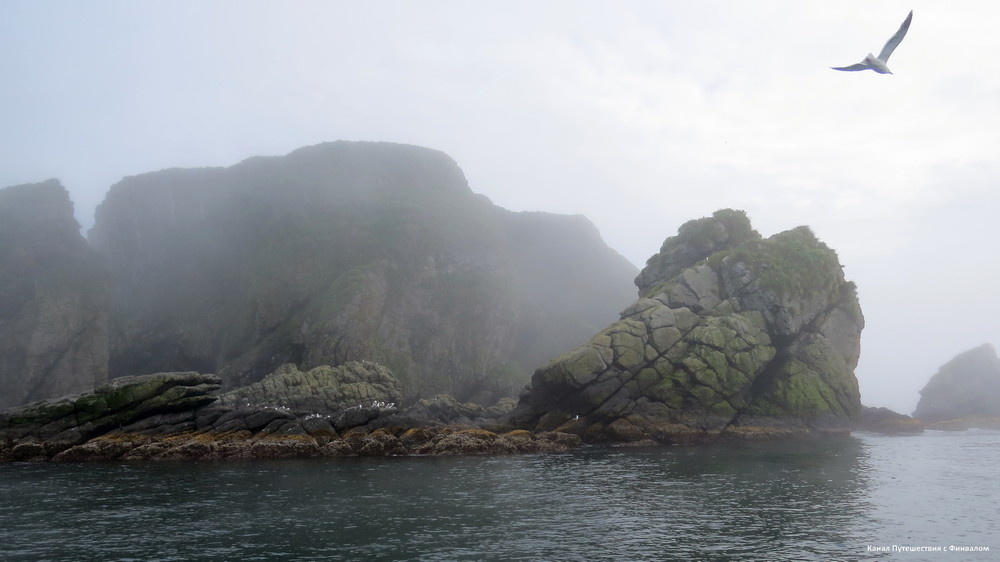 Остров Одинокий в тумане Дважды мы приходили к скалам с севера, огибая Итуруп по часовой стрелке, а летом 2025-го подошли с юга.