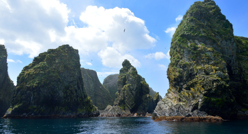Нас поразили хищные клумбы у безлюдного берега Итурупа