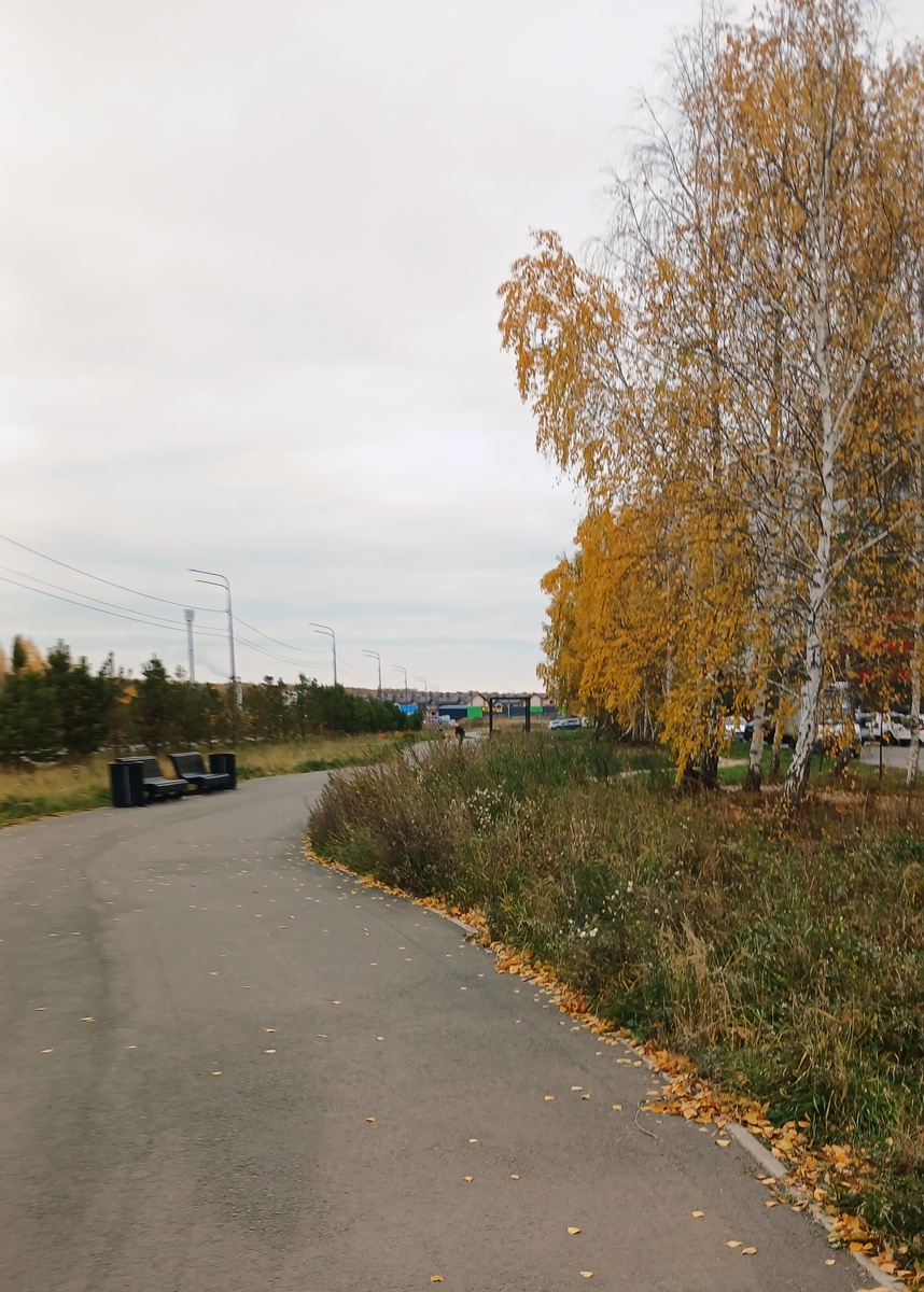 "Доброе утро, мир! Ты прекрасен!" Фото автора
