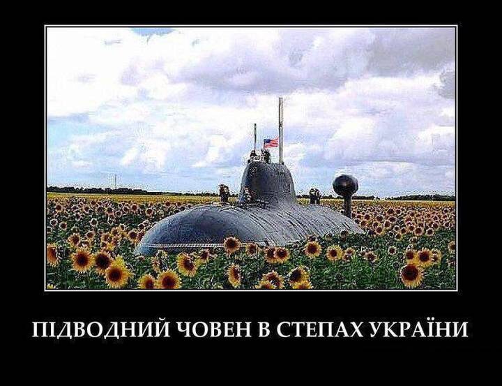  Фото: Медведев / Telegram